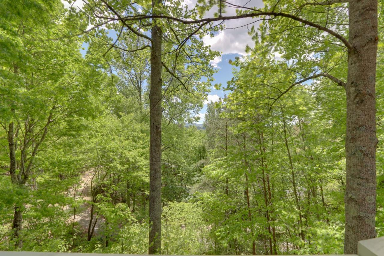 Вилла Blue Ridge Getaway With Hot Tub And Seasonal View! Экстерьер фото
